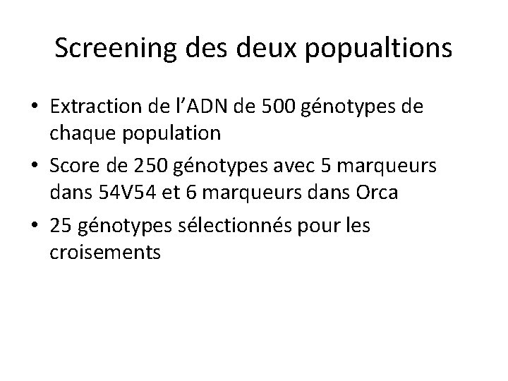 Screening des deux popualtions • Extraction de l’ADN de 500 génotypes de chaque population