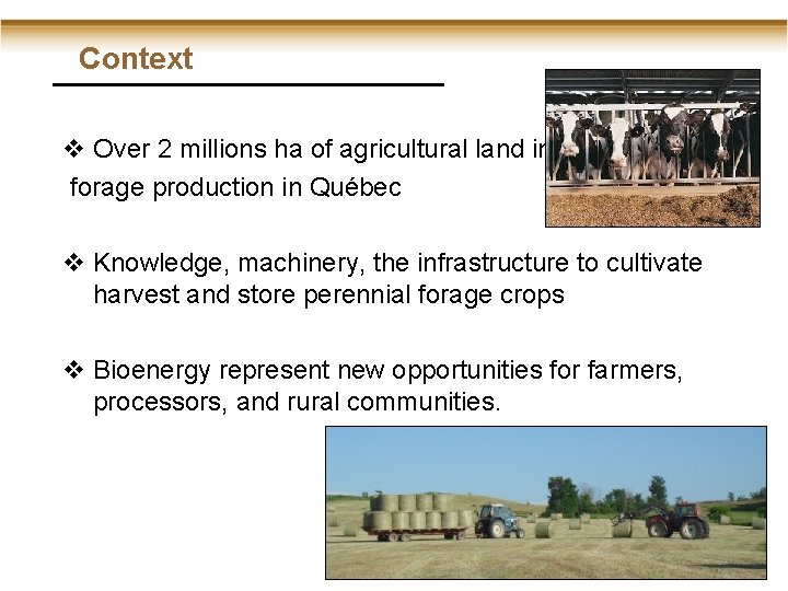 Context v Over 2 millions ha of agricultural land in forage production in Québec