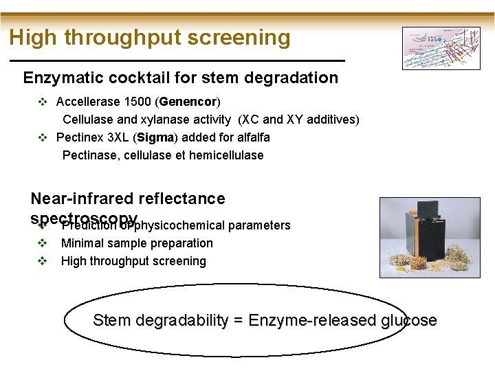 High throughput screening Enzymatic cocktail for stem degradation v Accellerase 1500 (Genencor) Cellulase and