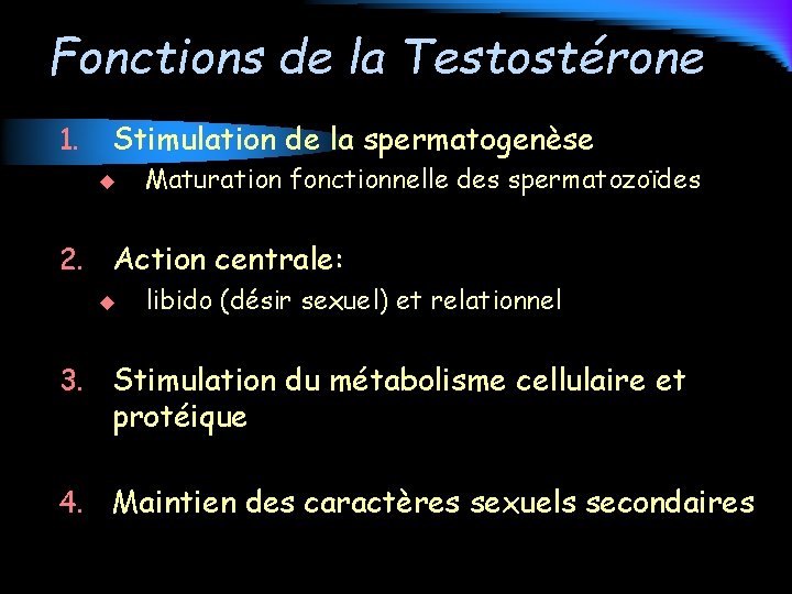 Fonctions de la Testostérone 1. Stimulation de la spermatogenèse u 2. Maturation fonctionnelle des
