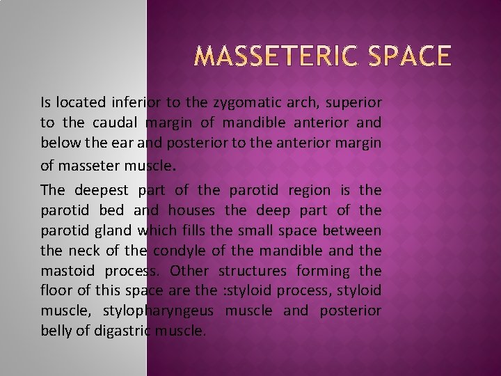Is located inferior to the zygomatic arch, superior to the caudal margin of mandible