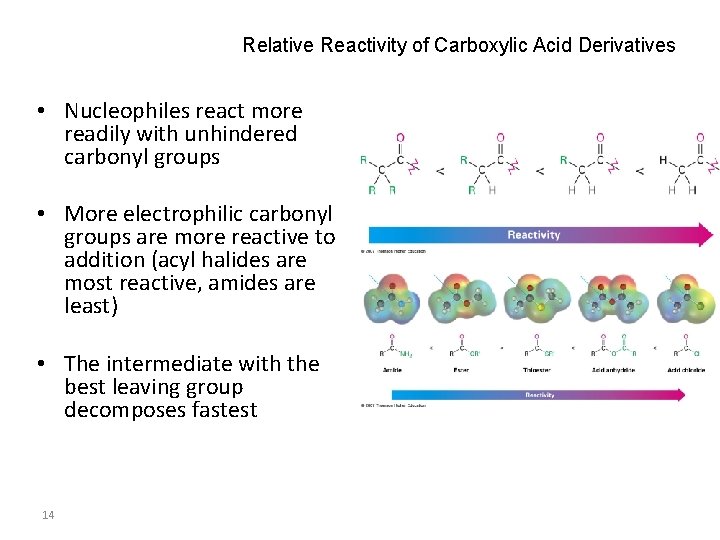Relative Reactivity of Carboxylic Acid Derivatives • Nucleophiles react more readily with unhindered carbonyl