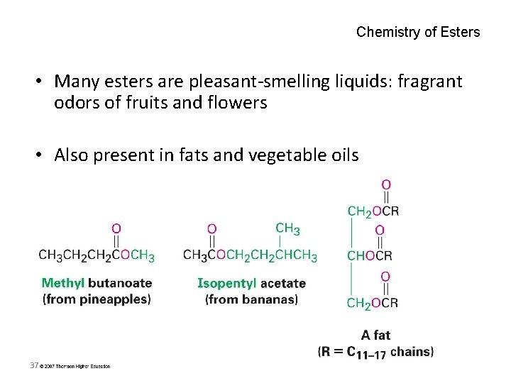 Chemistry of Esters • Many esters are pleasant-smelling liquids: fragrant odors of fruits and