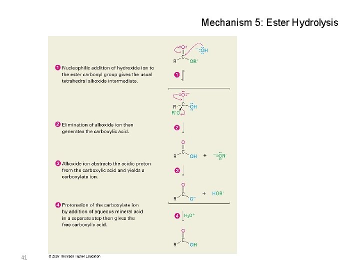 Mechanism 5: Ester Hydrolysis 41 