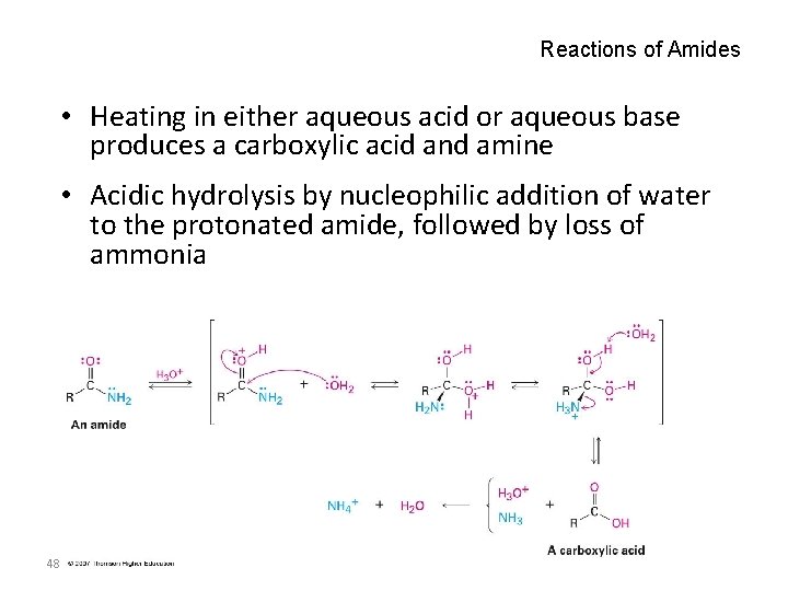 Reactions of Amides • Heating in either aqueous acid or aqueous base produces a