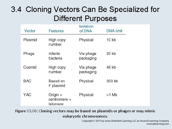 3. 4 Cloning Vectors Can Be Specialized for Different Purposes Figure 03. 06: Cloning