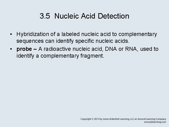 3. 5 Nucleic Acid Detection • Hybridization of a labeled nucleic acid to complementary