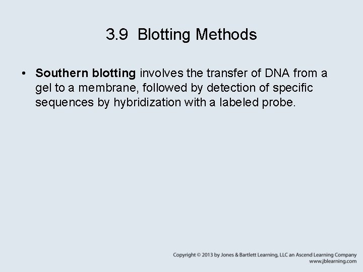 3. 9 Blotting Methods • Southern blotting involves the transfer of DNA from a