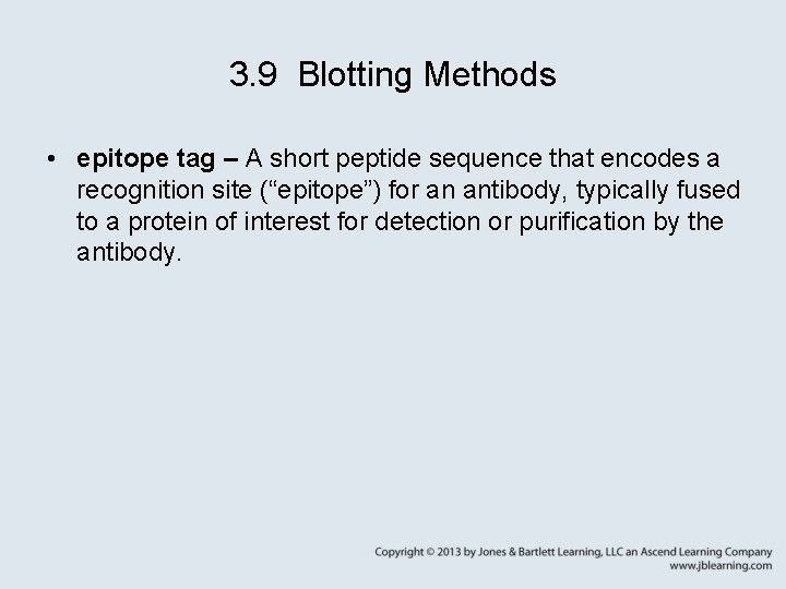 3. 9 Blotting Methods • epitope tag – A short peptide sequence that encodes