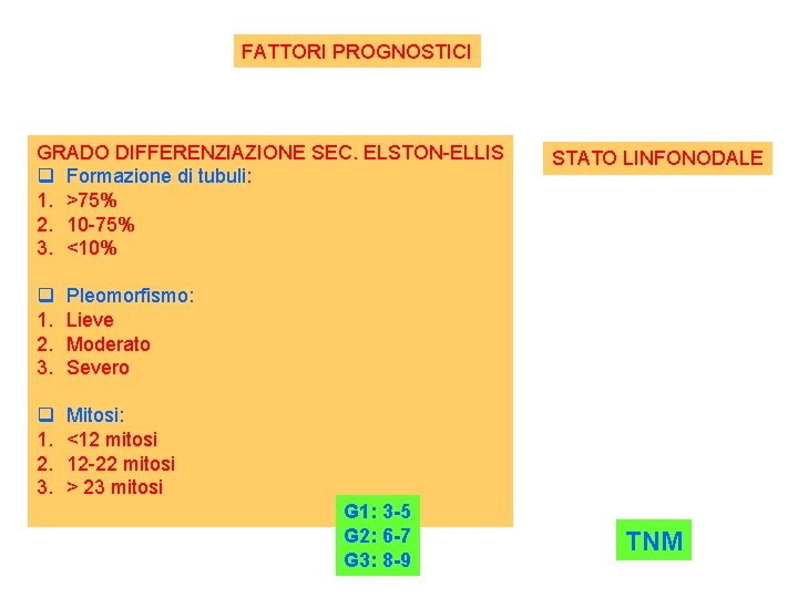 FATTORI PROGNOSTICI GRADO DIFFERENZIAZIONE SEC. ELSTON-ELLIS q Formazione di tubuli: 1. >75% 2. 10