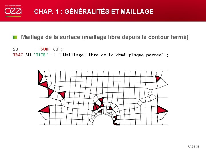 CHAP. 1 : GÉNÉRALITÉS ET MAILLAGE Maillage de la surface (maillage libre depuis le