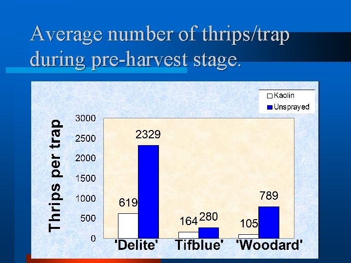 Average number of thrips/trap during pre-harvest stage. 