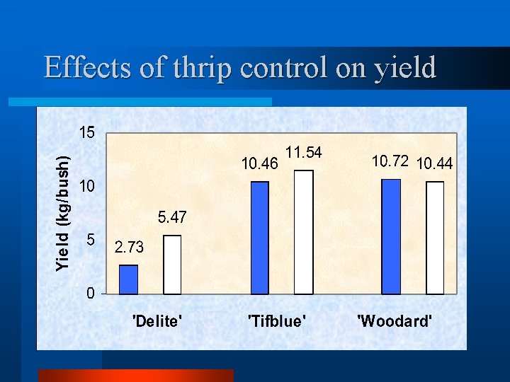 Effects of thrip control on yield 