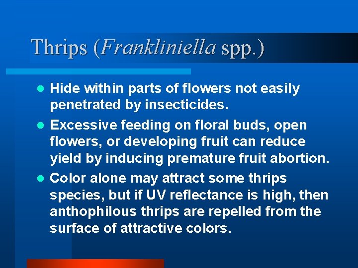 Thrips (Frankliniella spp. ) Hide within parts of flowers not easily penetrated by insecticides.