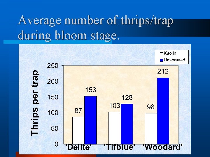Average number of thrips/trap during bloom stage. 
