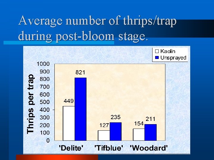 Average number of thrips/trap during post-bloom stage. 