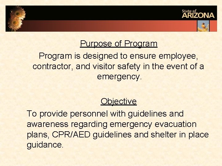 Purpose of Program is designed to ensure employee, contractor, and visitor safety in the