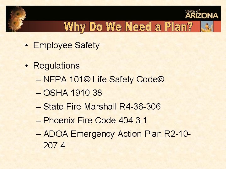  • Employee Safety • Regulations – NFPA 101© Life Safety Code© – OSHA