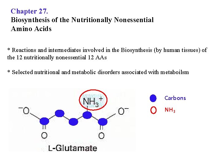 Chapter 27. Biosynthesis of the Nutritionally Nonessential Amino Acids * Reactions and intermediates involved