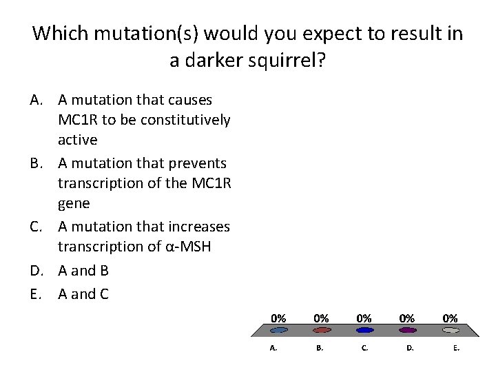 Which mutation(s) would you expect to result in a darker squirrel? A. A mutation