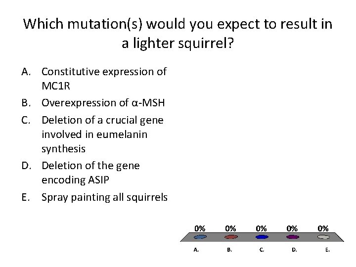 Which mutation(s) would you expect to result in a lighter squirrel? A. Constitutive expression