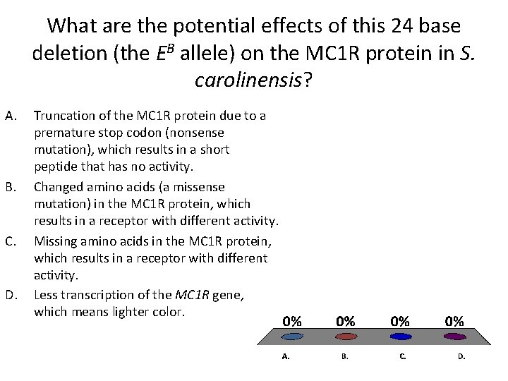 What are the potential effects of this 24 base deletion (the EB allele) on