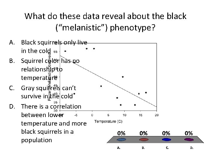 What do these data reveal about the black (“melanistic”) phenotype? A. Black squirrels only