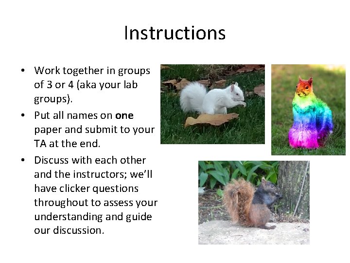 Instructions • Work together in groups of 3 or 4 (aka your lab groups).