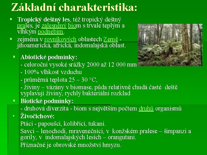Základní charakteristika: § Tropický deštný les, též tropický deštný prales, je zalesněný biom s