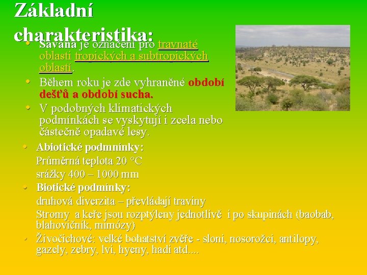 Základní charakteristika: • Savana je označení pro travnaté • • oblasti tropických a subtropických