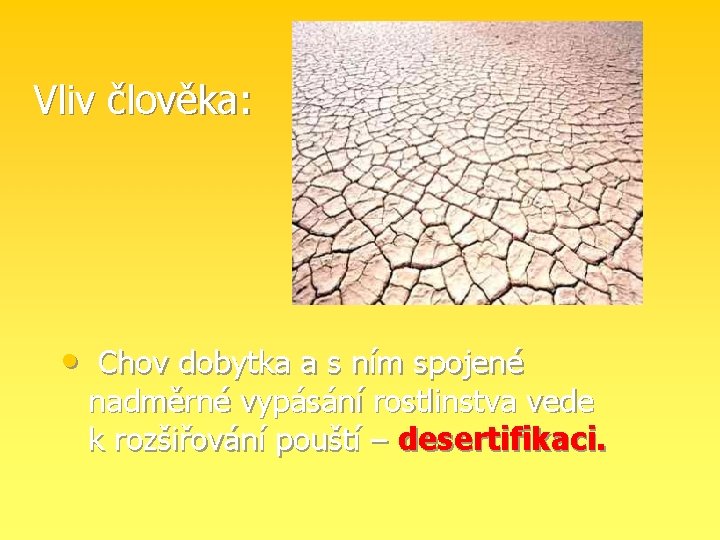 Vliv člověka: • Chov dobytka a s ním spojené nadměrné vypásání rostlinstva vede k