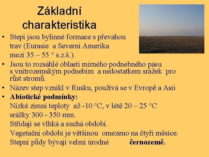 Základní charakteristika • Stepi jsou bylinné formace s převahou trav (Eurasie a Severní Amerika