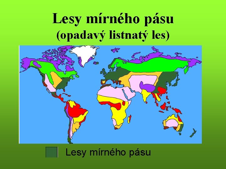 Lesy mírného pásu (opadavý listnatý les) Lesy mírného pásu 