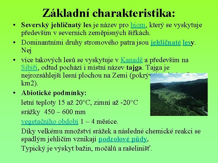 Základní charakteristika: • Severský jehličnatý les je název pro biom, který se vyskytuje především