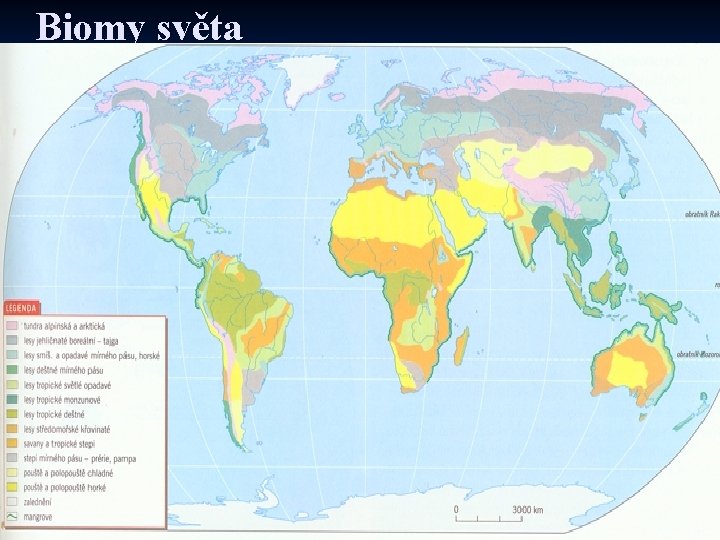 Biomy světa 