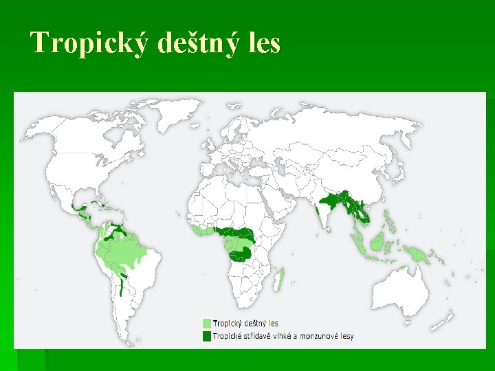 Tropický deštný les 