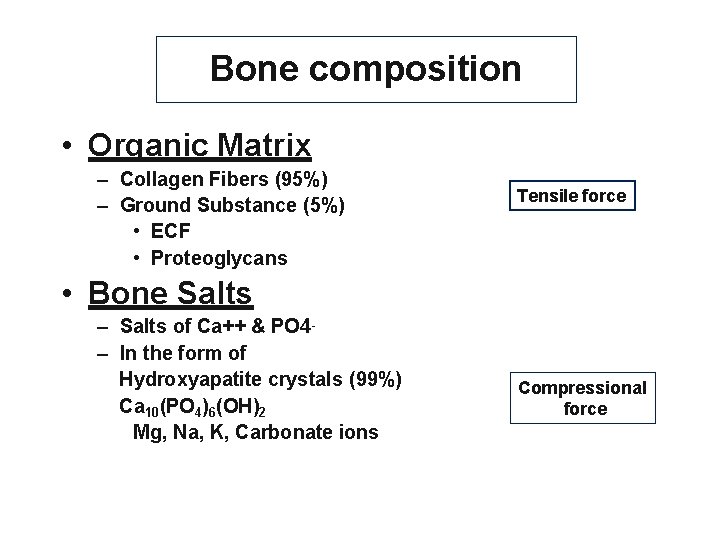 Bone composition • Organic Matrix – Collagen Fibers (95%) – Ground Substance (5%) •