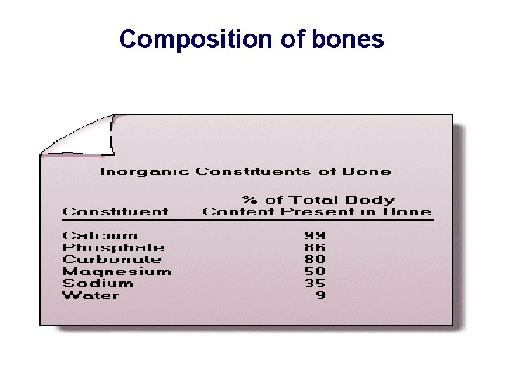 Composition of bones 