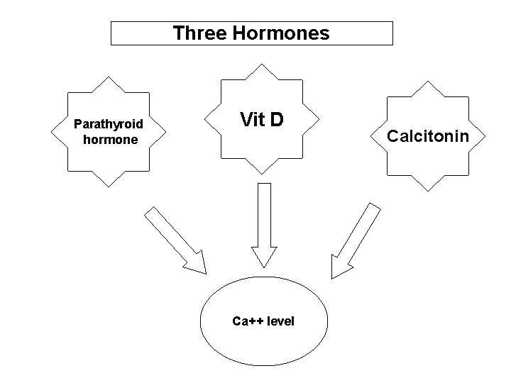 Three Hormones Parathyroid hormone Vit D Ca++ level Calcitonin 