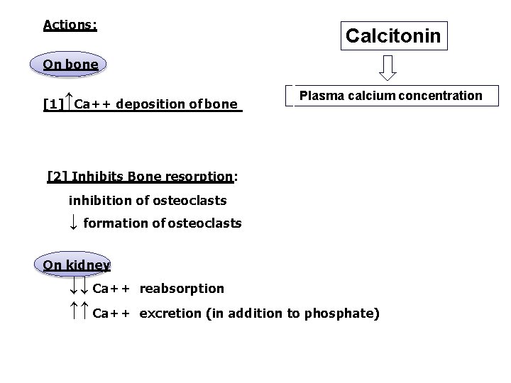 Actions: Calcitonin On bone [1]↑Ca++ deposition of bone Plasma calcium concentration [2] Inhibits Bone