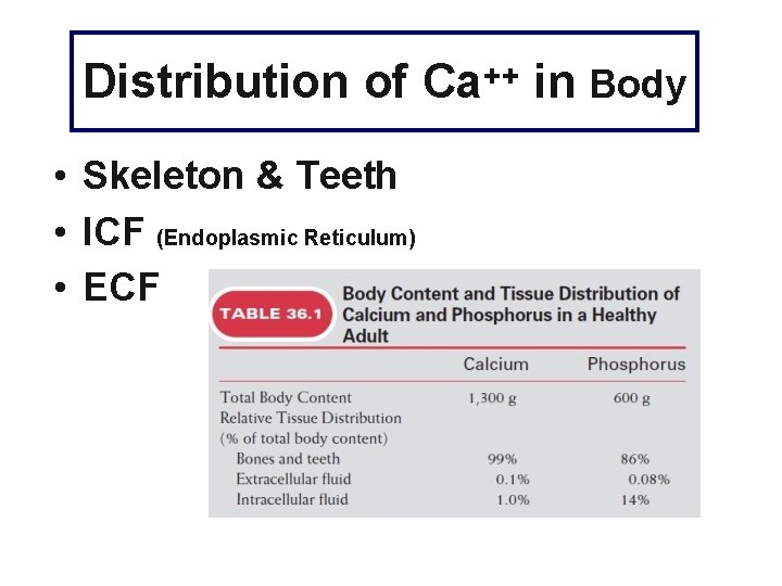 Distribution of Ca++ in Body • Skeleton & Teeth • ICF (Endoplasmic Reticulum) •