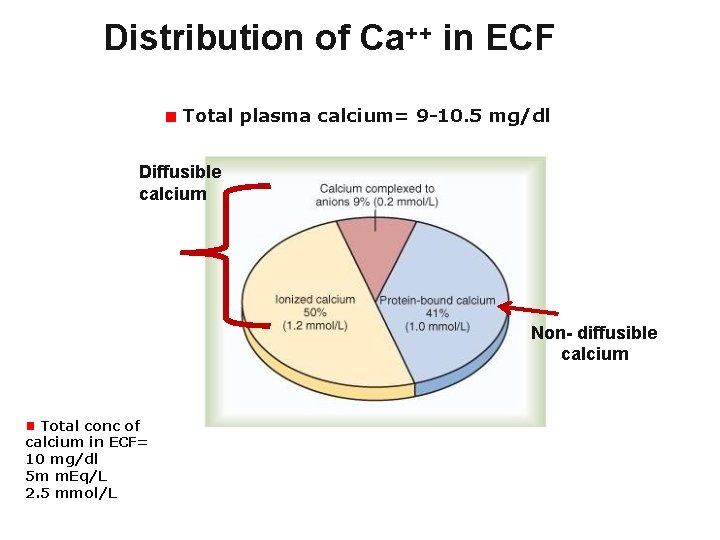 Distribution of Ca++ in ECF Total plasma calcium= 9 -10. 5 mg/dl Diffusible calcium