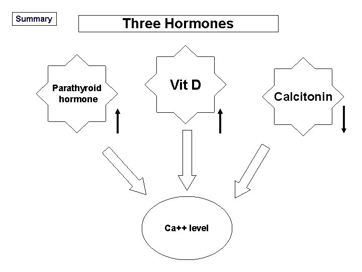 Summary Parathyroid hormone Three Hormones Vit D Ca++ level Calcitonin 