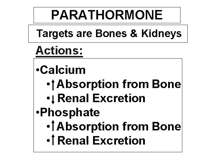 PARATHORMONE Targets are Bones & Kidneys Actions: • Calcium • Absorption from Bone •