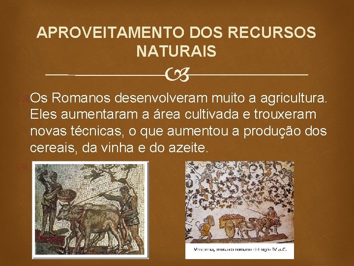 APROVEITAMENTO DOS RECURSOS NATURAIS Os Romanos desenvolveram muito a agricultura. Eles aumentaram a área