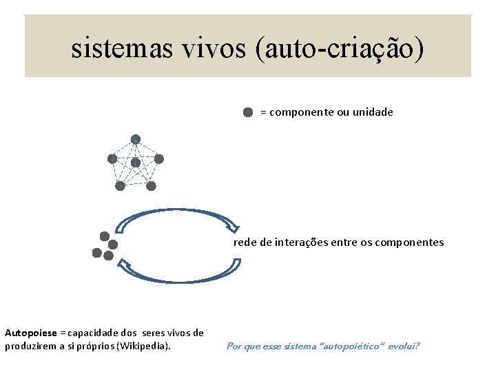 sistemas vivos (auto-criação) = componente ou unidade rede de interações entre os componentes Autopoiese