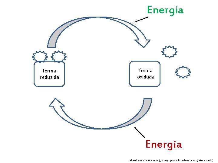 Energia forma reduzida forma oxidada Energia El-Hani, SN e Videira, AAP (org), 2000 (O