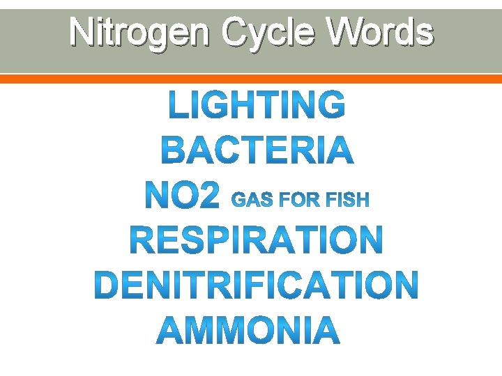 Nitrogen Cycle Words 