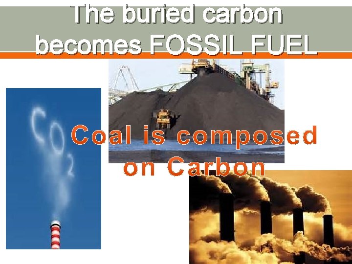 The buried carbon becomes FOSSIL FUEL 