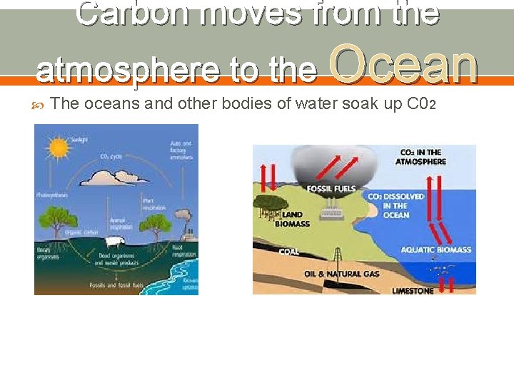 Carbon moves from the atmosphere to the Ocean The oceans and other bodies of